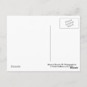 El Yunque Rain Forest Postkarte (Rückseite)