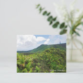 El Yunque Regenwald und Kommunikationsturm Post Postkarte (Stehend Vorderseite)