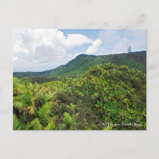 El Yunque Regenwald und Kommunikationsturm Post Postkarte (Vorderseite)
