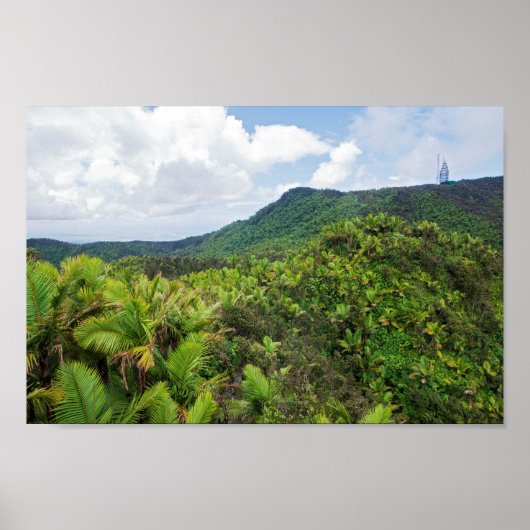 El Yunque Regenwald und Kommunikationsturm Poster (Vorne)