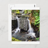 El Yunque Waterfall Postkarte (Vorne/Hinten)