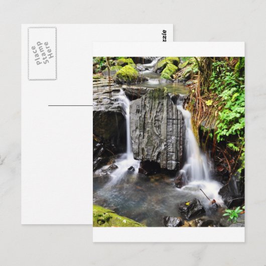 El Yunque Waterfall Postkarte (Vorne/Hinten)