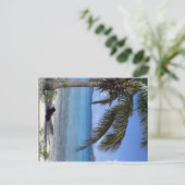 Elaine's dog in St. John, USVI Postkarte (Stehend Vorderseite)