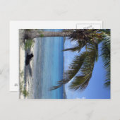 Elaine's dog in St. John, USVI Postkarte (Vorne/Hinten)