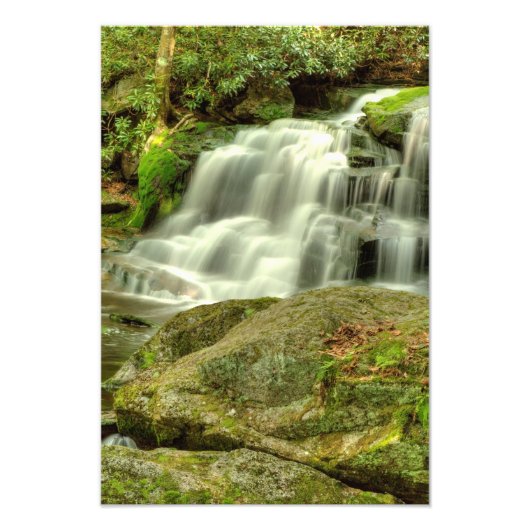 Elakala Falls #2, West Virginia Fotodruck (Vorne)