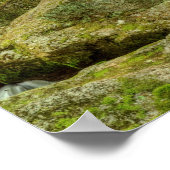 Elakala Falls #2, West Virginia Poster (Ecke)