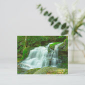 Elakala Falls #2, West Virginia Postkarte (Stehend Vorderseite)