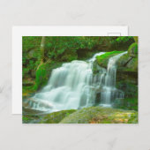 Elakala Falls #2, West Virginia Postkarte (Vorne/Hinten)