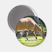 Eland Magnet (Vorderseite/Rückseite)