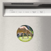 Eland Magnet (In Situ (Geschirrspüler))