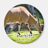 Eland Magnet (Vorne)