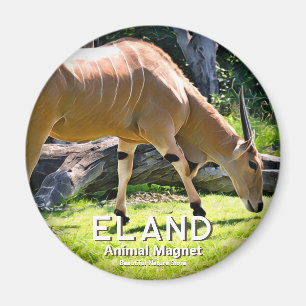 Eland Magnet
