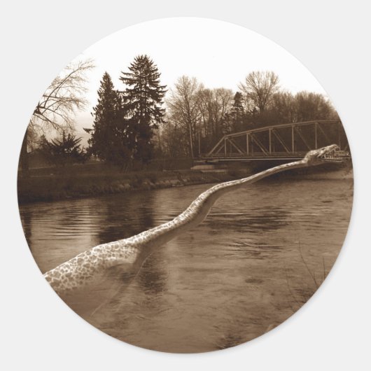 Elasmosaurus-Geschenke Runder Aufkleber (Vorderseite)