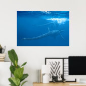 Elasmosaurus : Reihe antiker Seemonster Poster (Heimbüro)