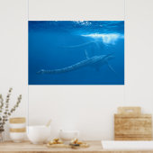 Elasmosaurus : Reihe antiker Seemonster Poster (Küche)