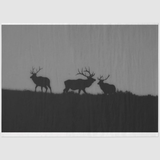 Elch 1 seidenpapier (Vorderseite)