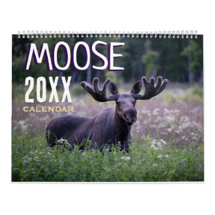 Elch 2027 Wildtiere Tiere Wandkalender