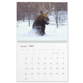 Elch 2027 Wildtiere Tiere Wandkalender (Jan 2027)