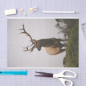 Elch 2 seidenpapier (Handwerk)