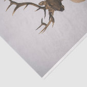 Elch 2 seidenpapier (Ausschnitt)