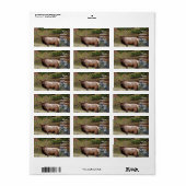 Elch-Adressaufkleber Adressaufkleber (Vorne)