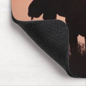 Elch, Alces alces, Bulle mit großem Geweih, Mousepad (Ecke)