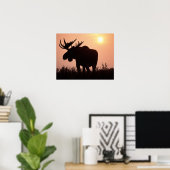 Elch, Alces alces, Stier mit großen Geweih- Poster (Heimbüro)