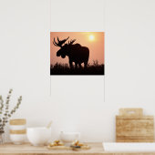 Elch, Alces alces, Stier mit großen Geweih- Poster (Küche)