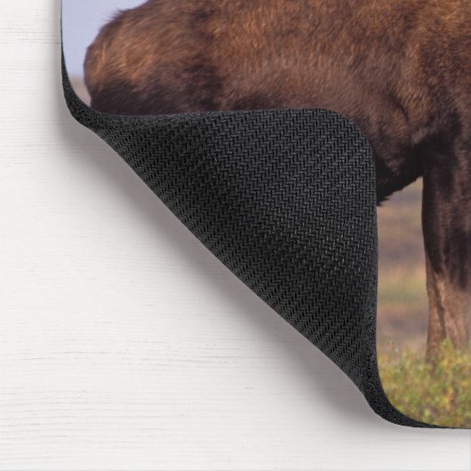 Elch, Alces Alces, Stier mit großen Geweihten Mousepad (Ecke)