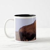 Elch, Alces Alces, Stier mit großen Geweihten Zweifarbige Tasse (Links)