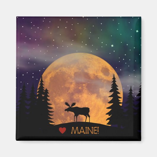 Elch auf der Loose Magnet (Vorne)