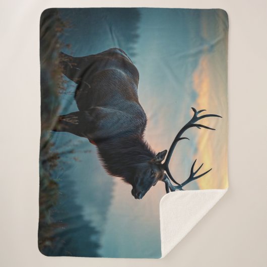 Elch auf einem Rücken in der Morgendämmerung Sherpadecke (Vorderseite)