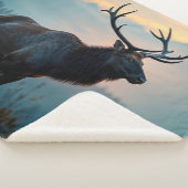 Elch auf einem Rücken in der Morgendämmerung Sherpadecke (3/4)