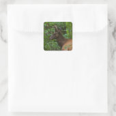 Elch-Aufkleber Quadratischer Aufkleber (Tasche)