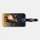 Elch-Aufladung Gepäckanhänger (Rückseite horizontal)