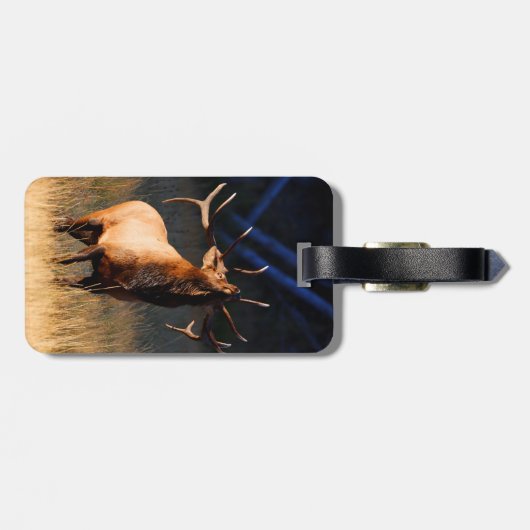 Elch-Aufladung Gepäckanhänger (Rückseite horizontal)