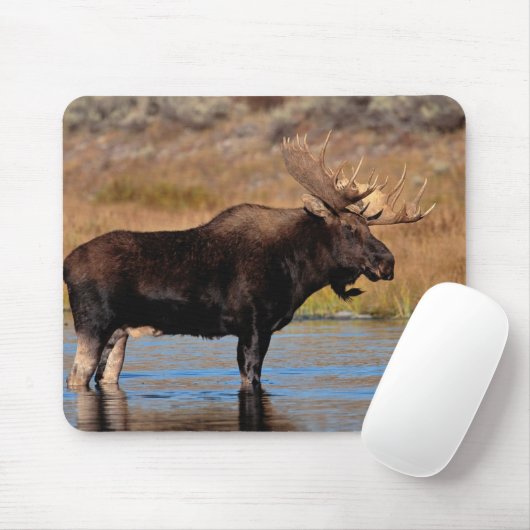 Elch-Auflage Mousepad (Mit Mouse)