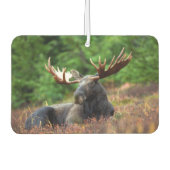Elch Autolufterfrischer (Vorderseite)