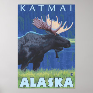 Elch bei Nacht - Katmai, Alaska Poster