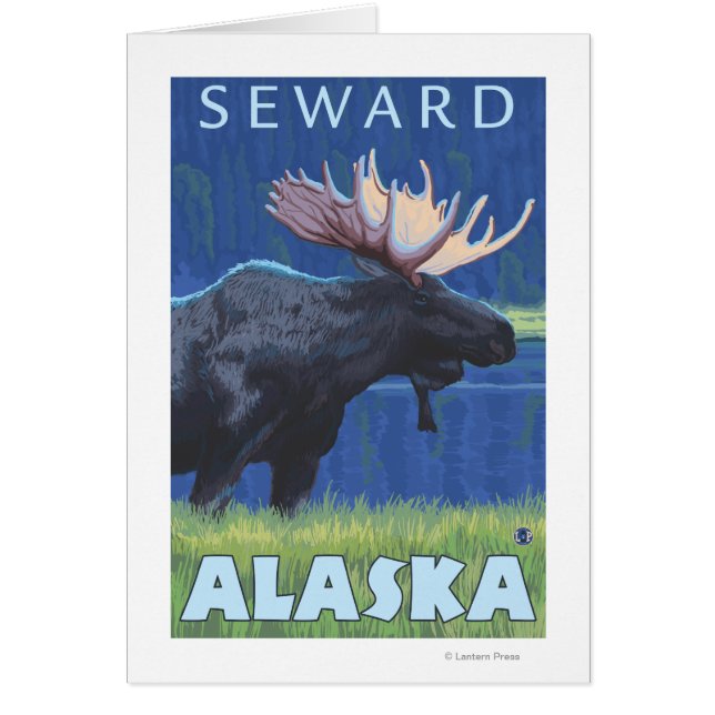 Elch bei Nacht - Seward, Alaska (Vorne)