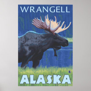 Elch bei Nacht - Wrangell, Alaska Poster