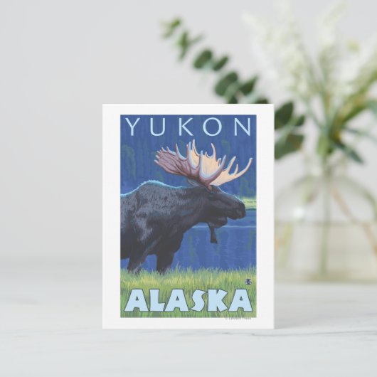 Elch bei Nacht - Yukon, Alaska Postkarte (Stehend Vorderseite)