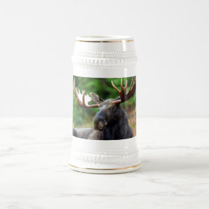 Elch Bierglas