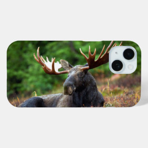 Elch Case-Mate iPhone Hülle
