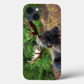 Elch Case-Mate iPhone Hülle (Rückseite)