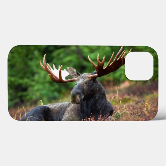 Elch Case-Mate iPhone Hülle (Rückseite (Horizontal))