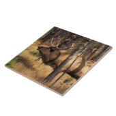 Elch, Cervus elaphus, Bullenbrillen in einem verbr Fliese (Seite)