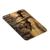 Elch, Cervus elaphus, Bullenbrillen in einem verbr Magnet (Rechte Seite)
