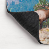 Elch (Cervus Elephus) Bull röhrt Mousepad (Ecke)