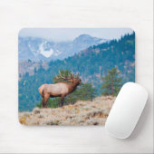 Elch (Cervus Elephus) Bull röhrt Mousepad (Mit Mouse)